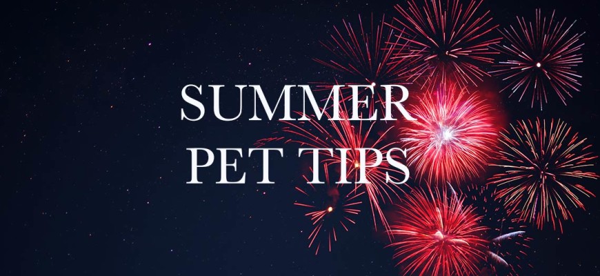 Fireworks summer vet pet care tips
