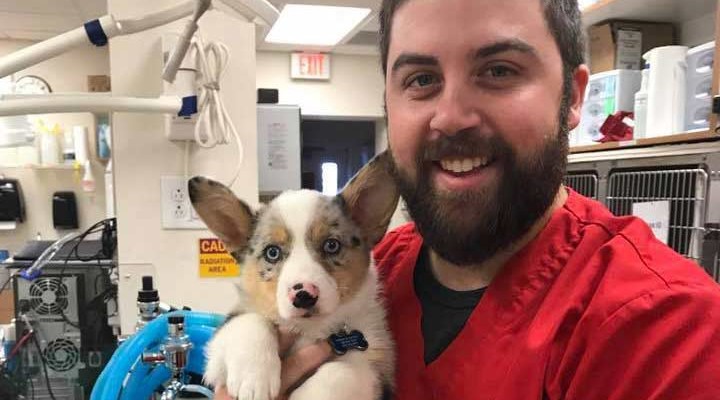 Chris C. Registered Veterinary Technician