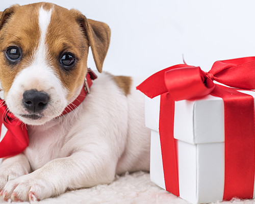 Merry Christmas - Closed Monday