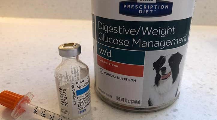 Diabetes regimen includes a special diet and insulin twice a day