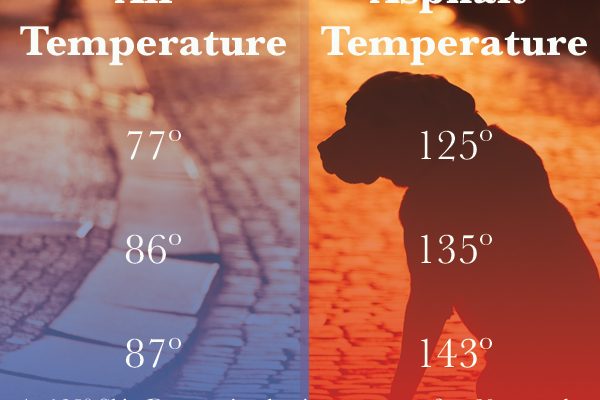 Hot Pavement doesn't require hot temperatures