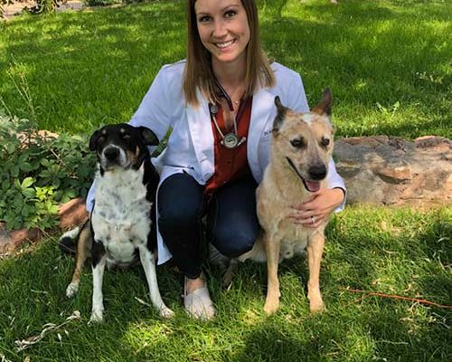 Dr. Garver Veterinarian