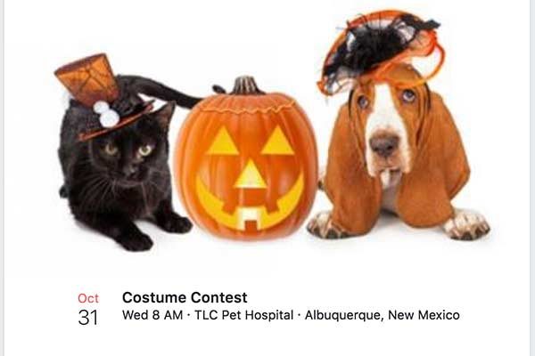 TLC Vet Pet Costume Contest