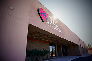 Contact TLC Pet Hospital | Veterinarian Hospital Albuquerque | pet care