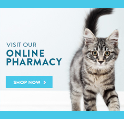 TLC pet Hospital Pharmacy Homepage