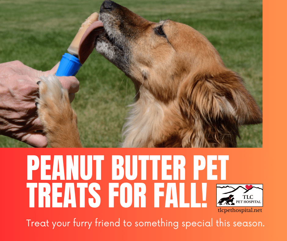 Peanut butter, fall treats