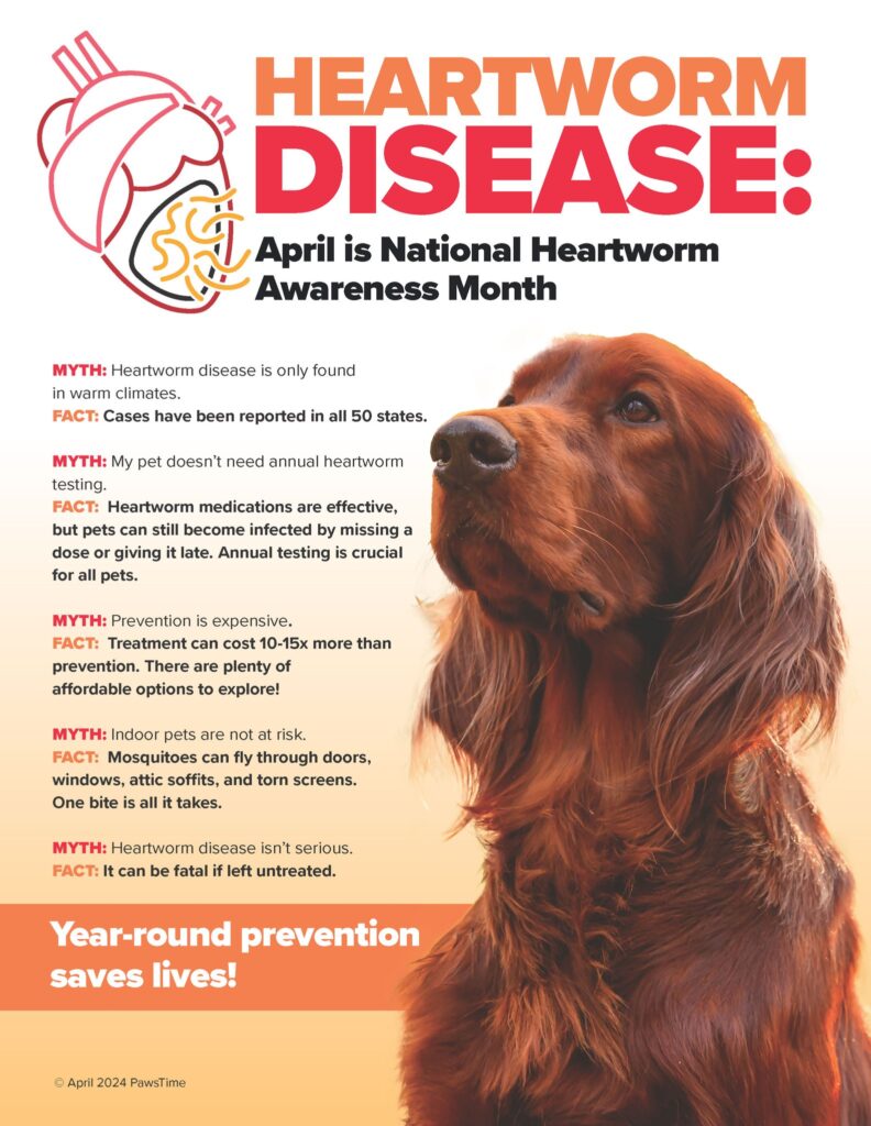 April is Heartworm Awareness Month