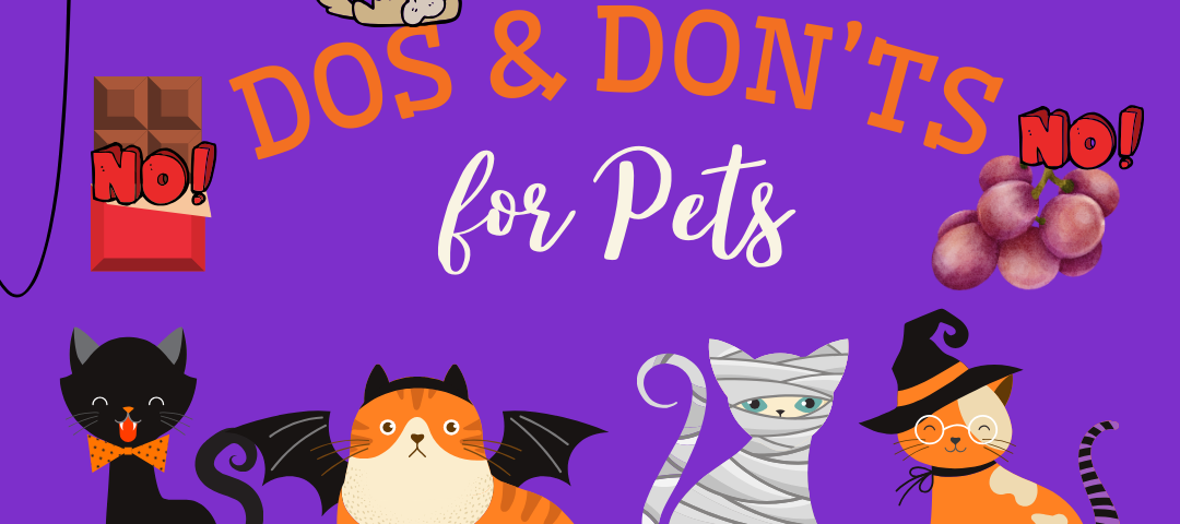 Fall Dos and Don'ts for pets