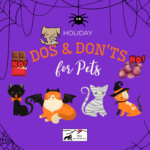 Fall Dos and Don'ts for pets