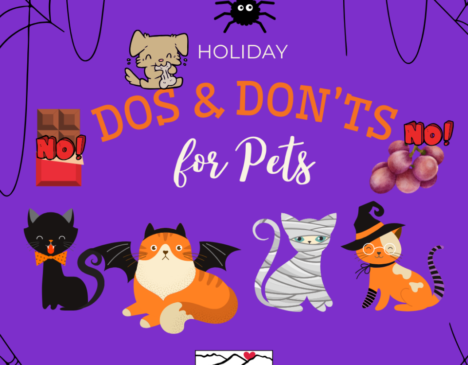 Fall Dos and Don'ts for pets