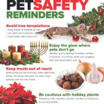 Pet Safety Reminders