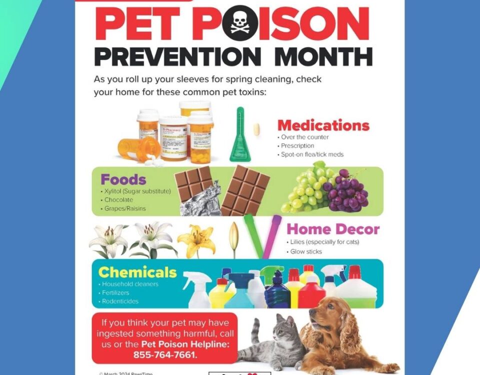 MARCH IS PET POISON PREVENTION MONTH