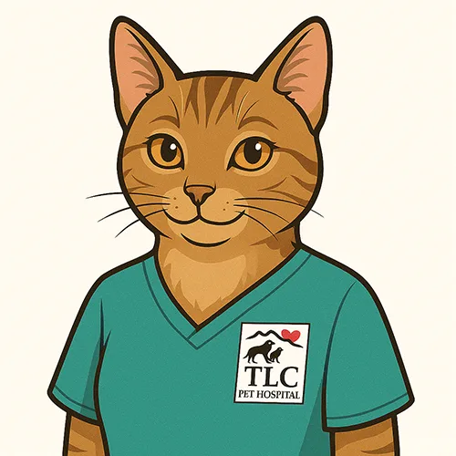 Cat on staff